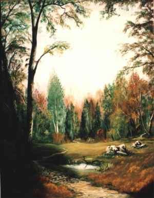 Clairière dans une forêt